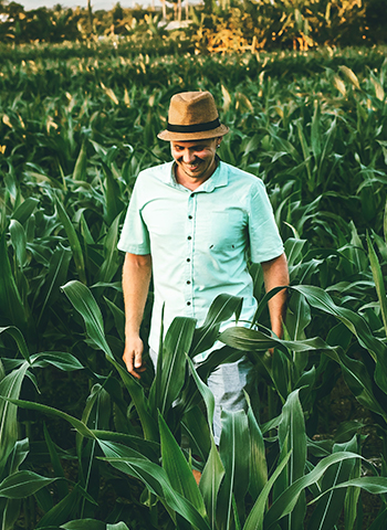 Our farmers meticulously choose the finest, top-tier produce.