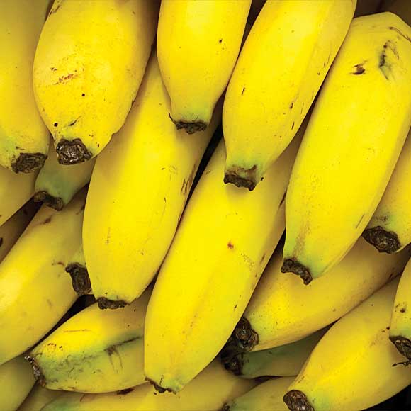 Bananas