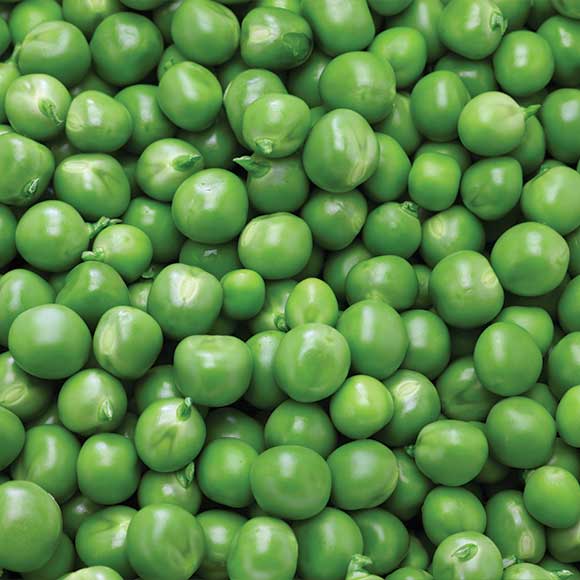 Green Peas